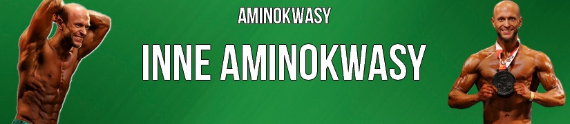 Pozostałe aminokwasy - Sklep PakujZDROWIE.pl Gdańsk. Szybka wysyłka w PL!